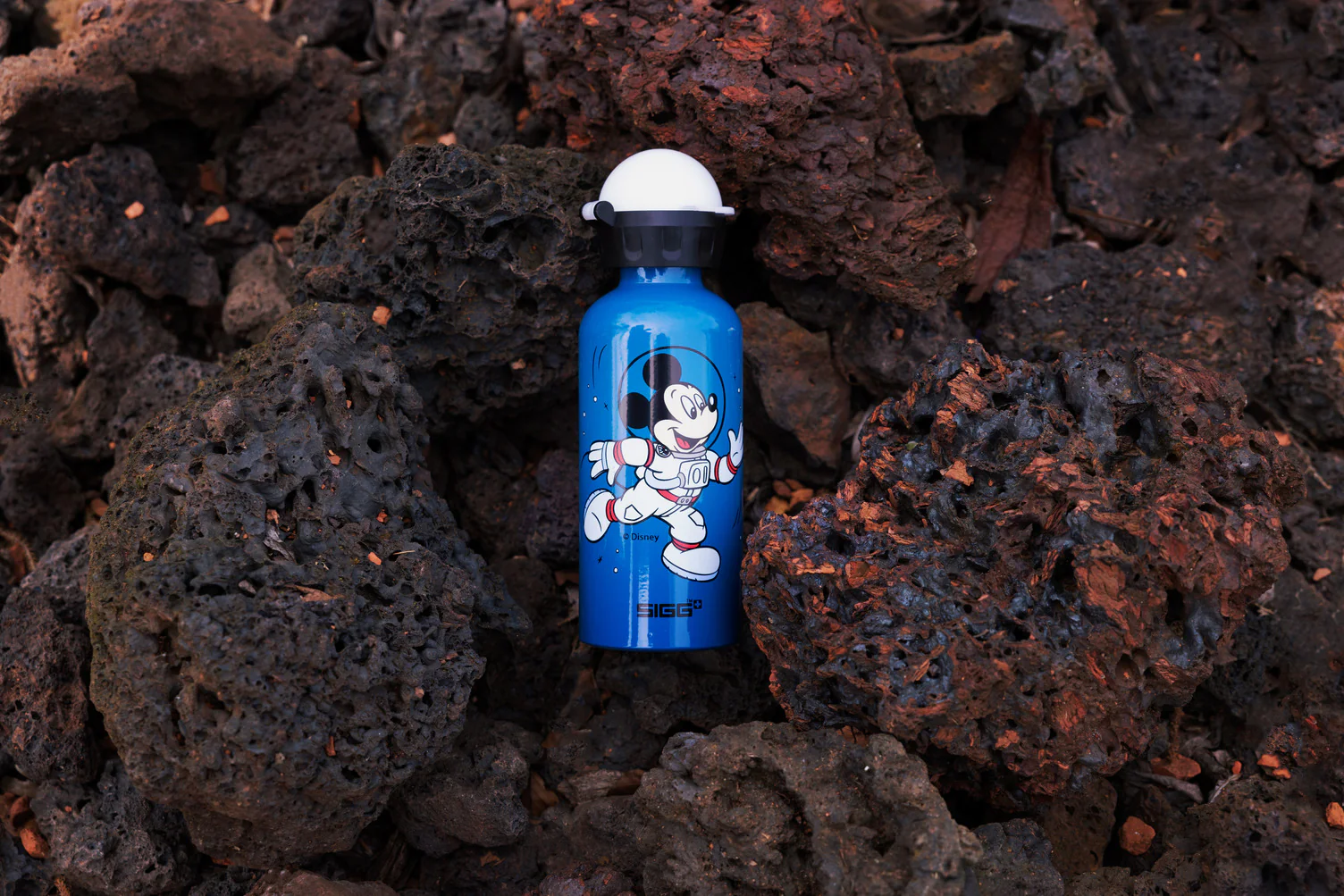 KBT Disney - Image 25