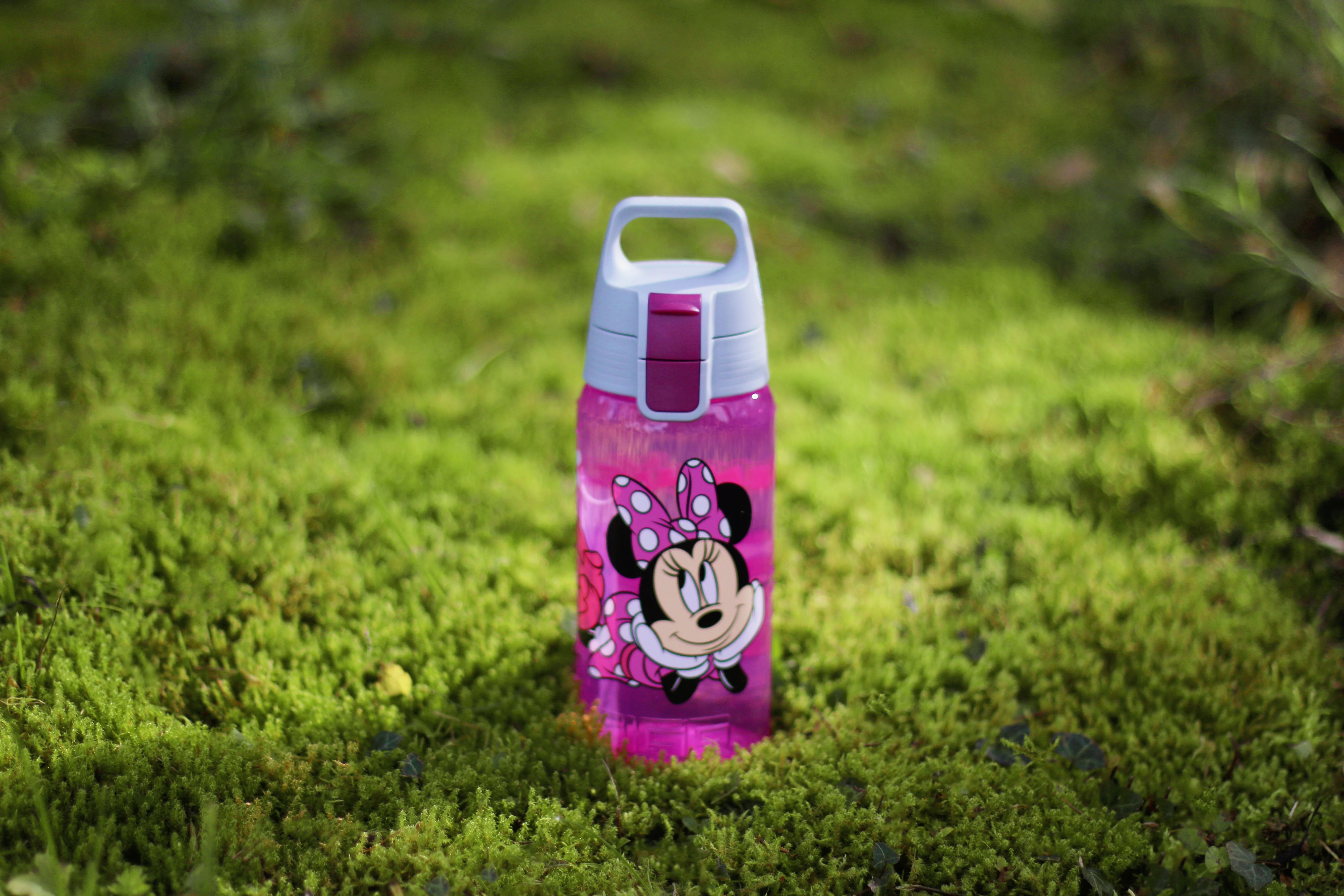 VIVA ONE Disney - Image 15