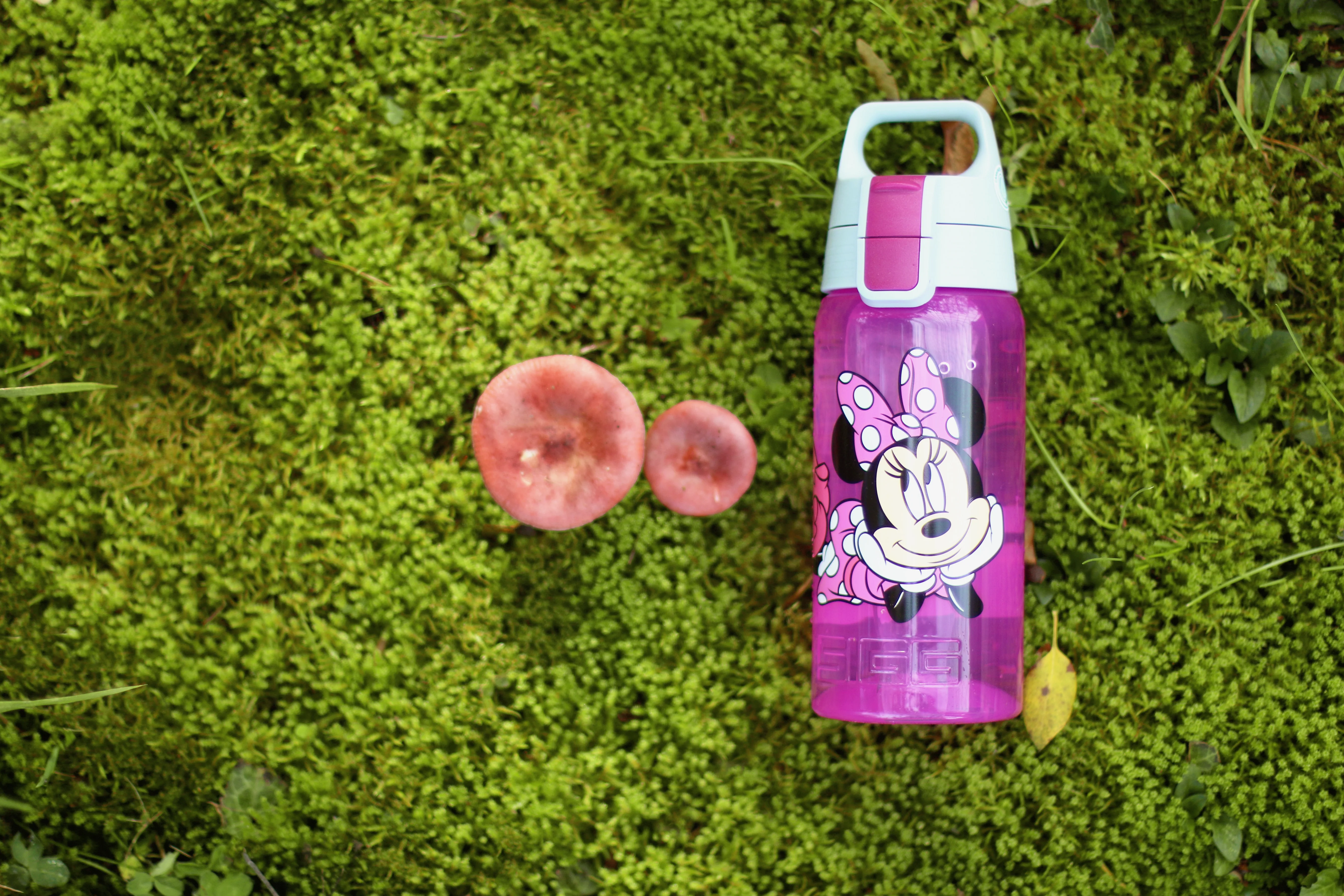VIVA ONE Disney - Image 16