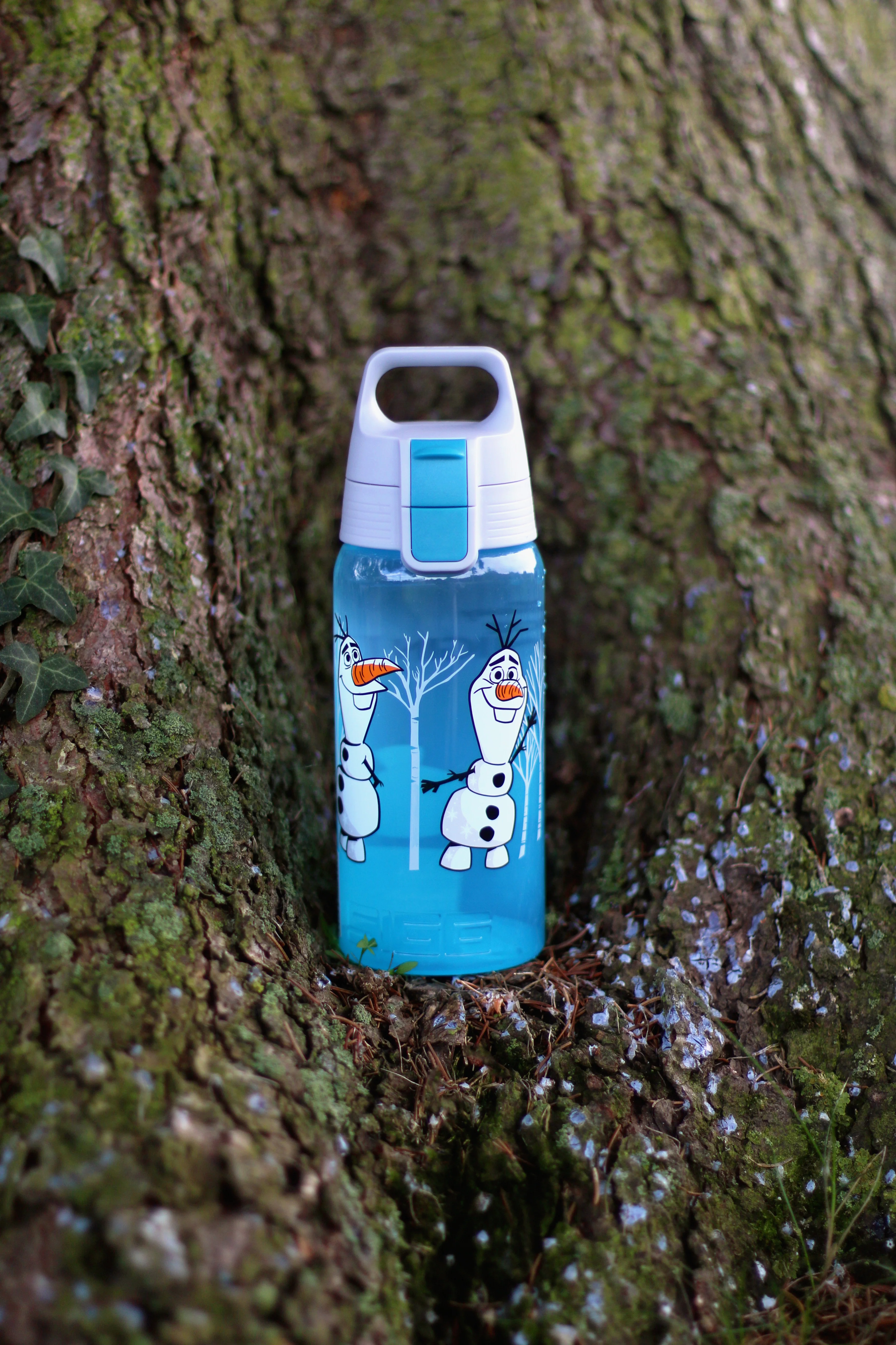 VIVA ONE Disney - Image 43
