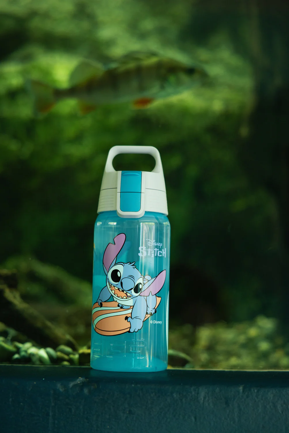 VIVA ONE Disney - Image 7
