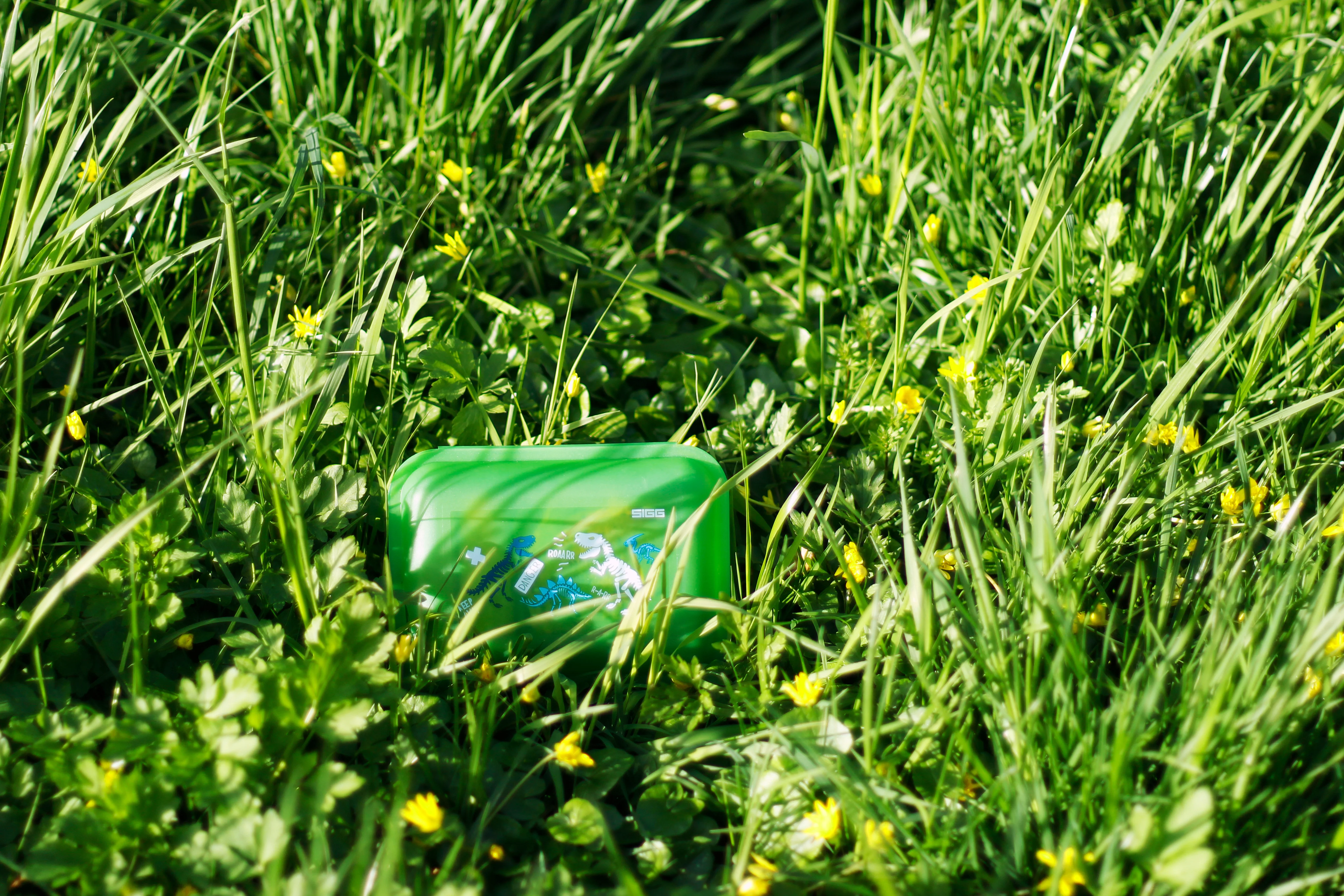 VIVA Lunchbox - Image 10