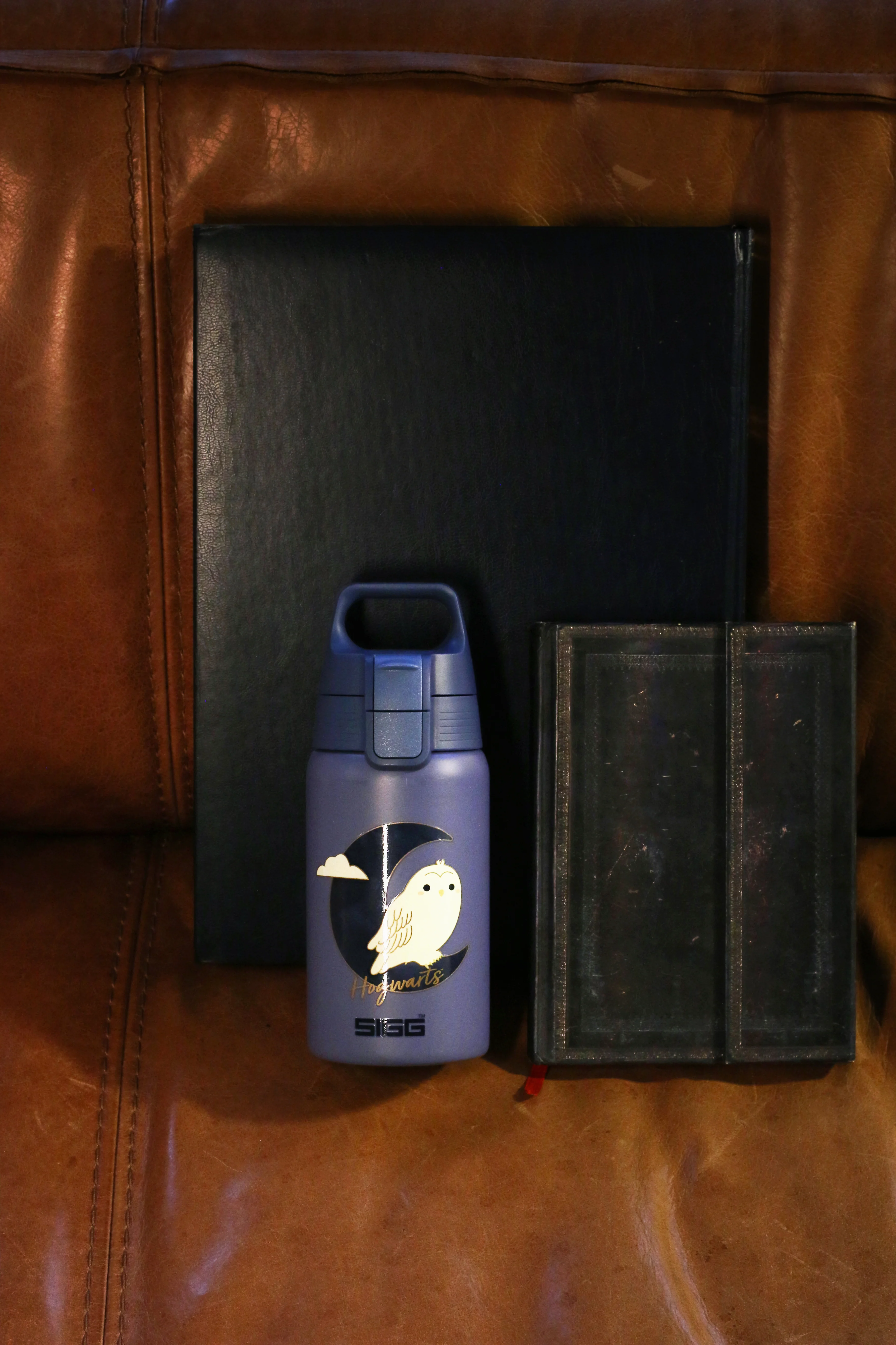 Shield ONE Hedwig 0.5 L - Image 6
