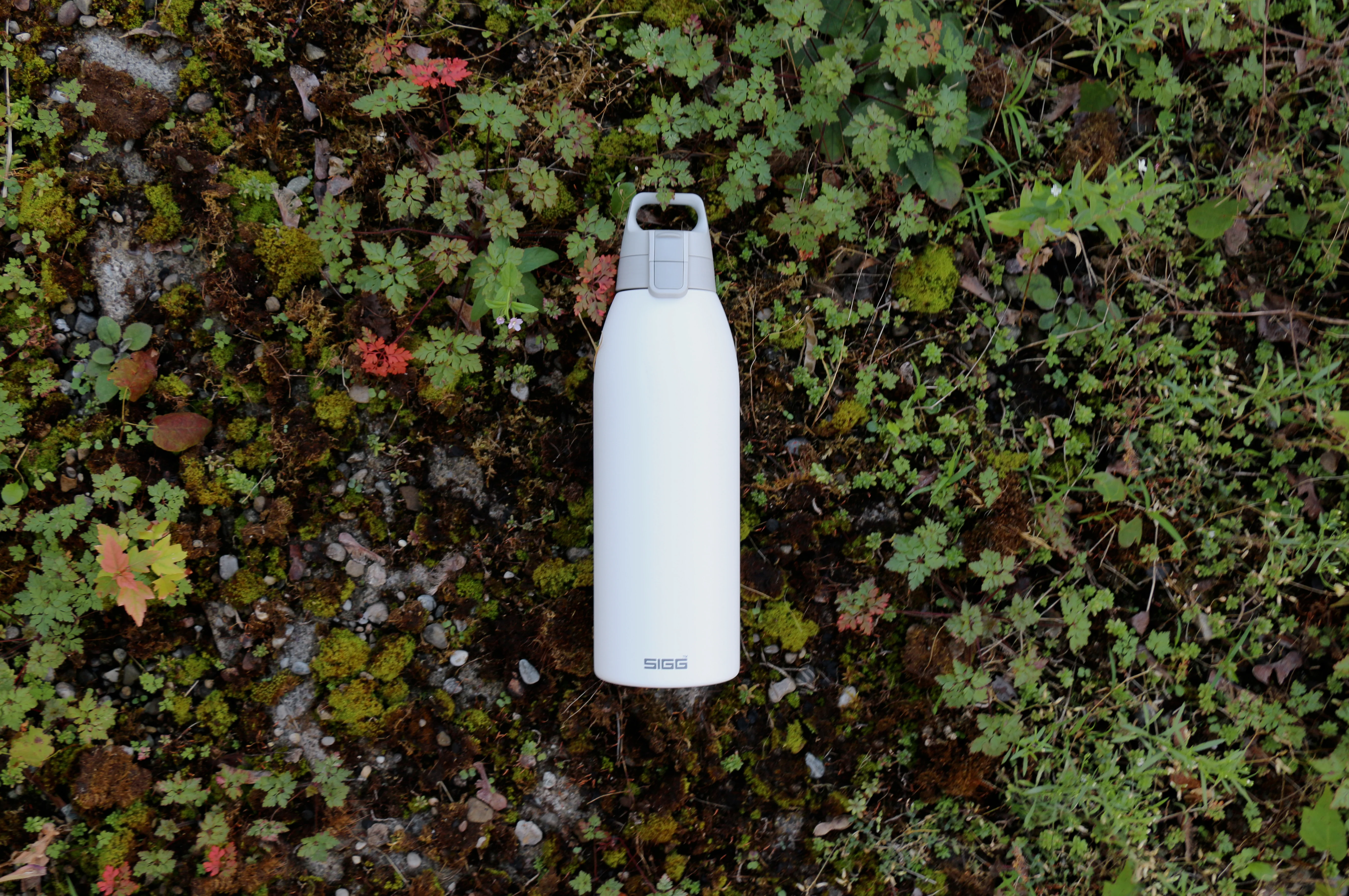 Shield Therm ONE - Image 81