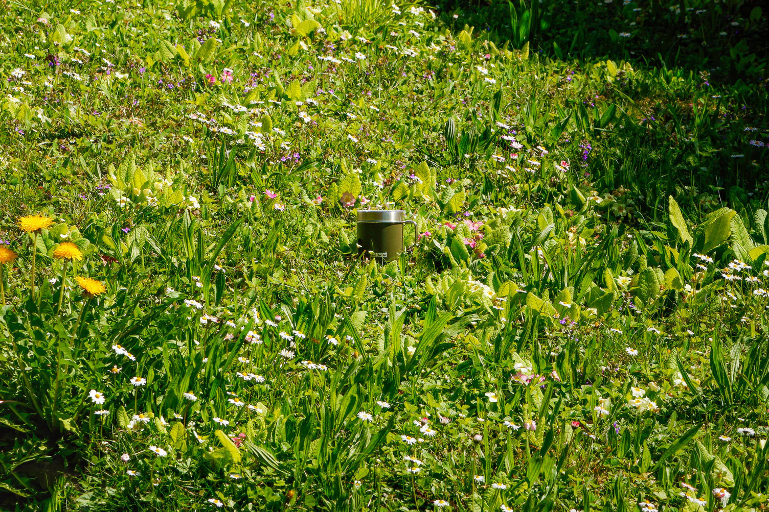 Travel Mug - Image 6