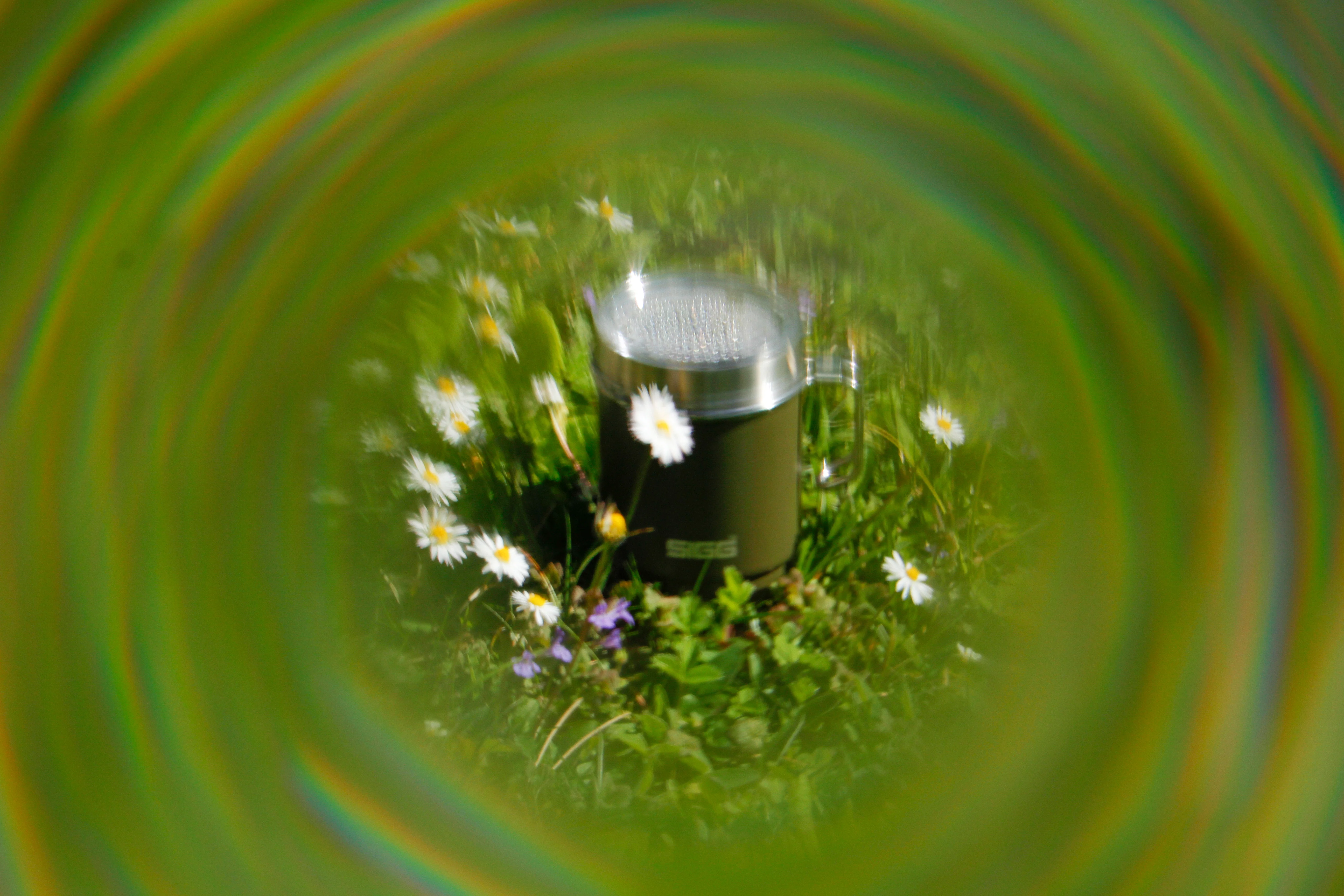 Travel Mug - Image 7