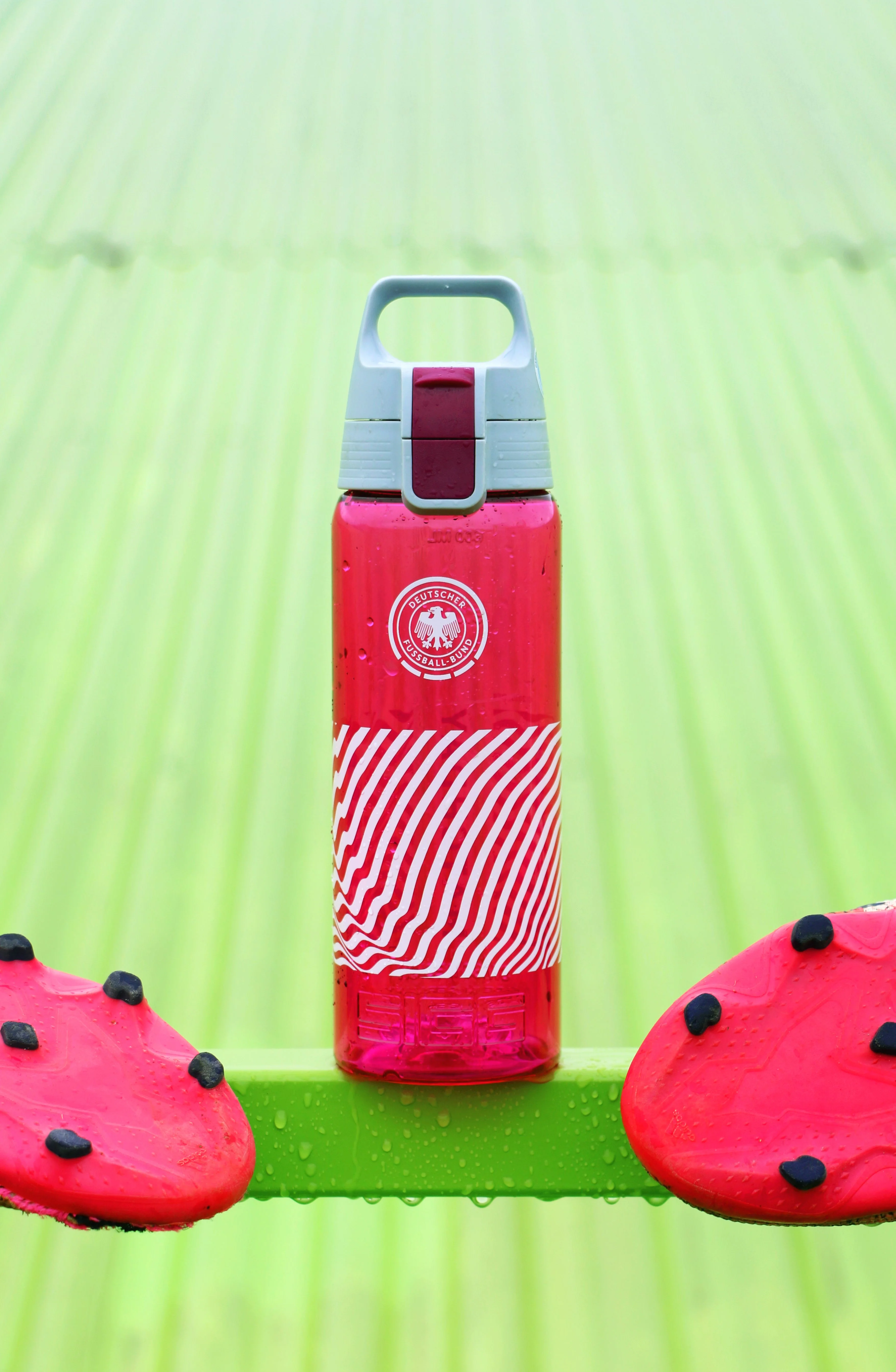 Total Color Berry DFB Match Day 0.6 L - Image 3