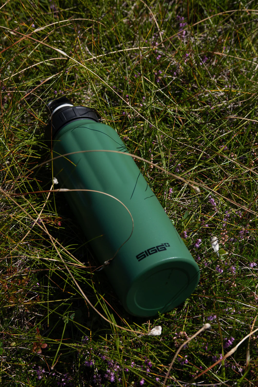 WMB Traveller - Image 7