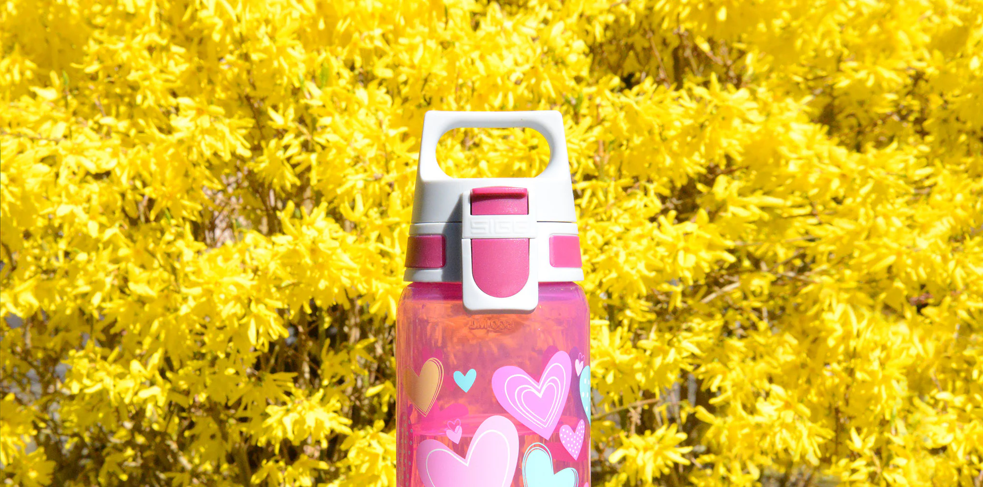 VIVA ONE Everyday Set – Bottle + Drying Rack Hearts - Image 6